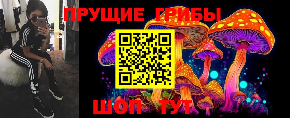 Шарыпово  Псилоцибиновые грибы Cubensis  Вход с VPN 